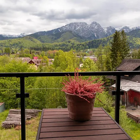 Polana Szymoszkowa - Chamerion * Zakopane