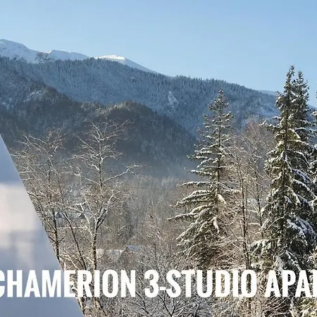 Polana Szymoszkowa - Chamerion Zakopane