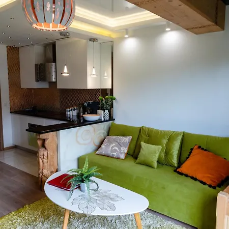 Polana Szymoszkowa - Chamerion Apartament