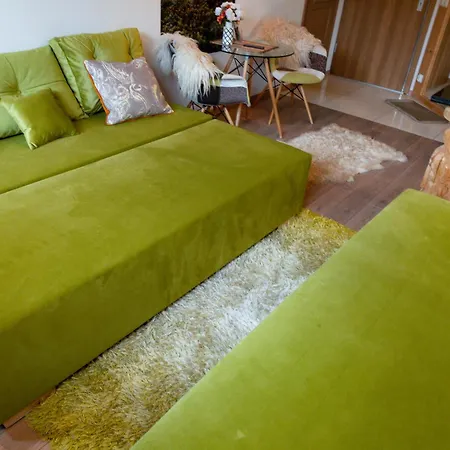 Apartament Polana Szymoszkowa - Chamerion